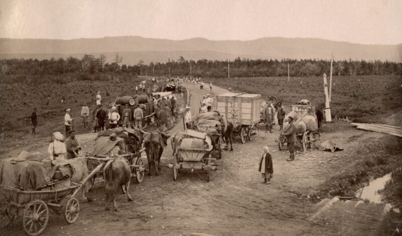 Baśń, która skręciła w niewłaściwą stronę