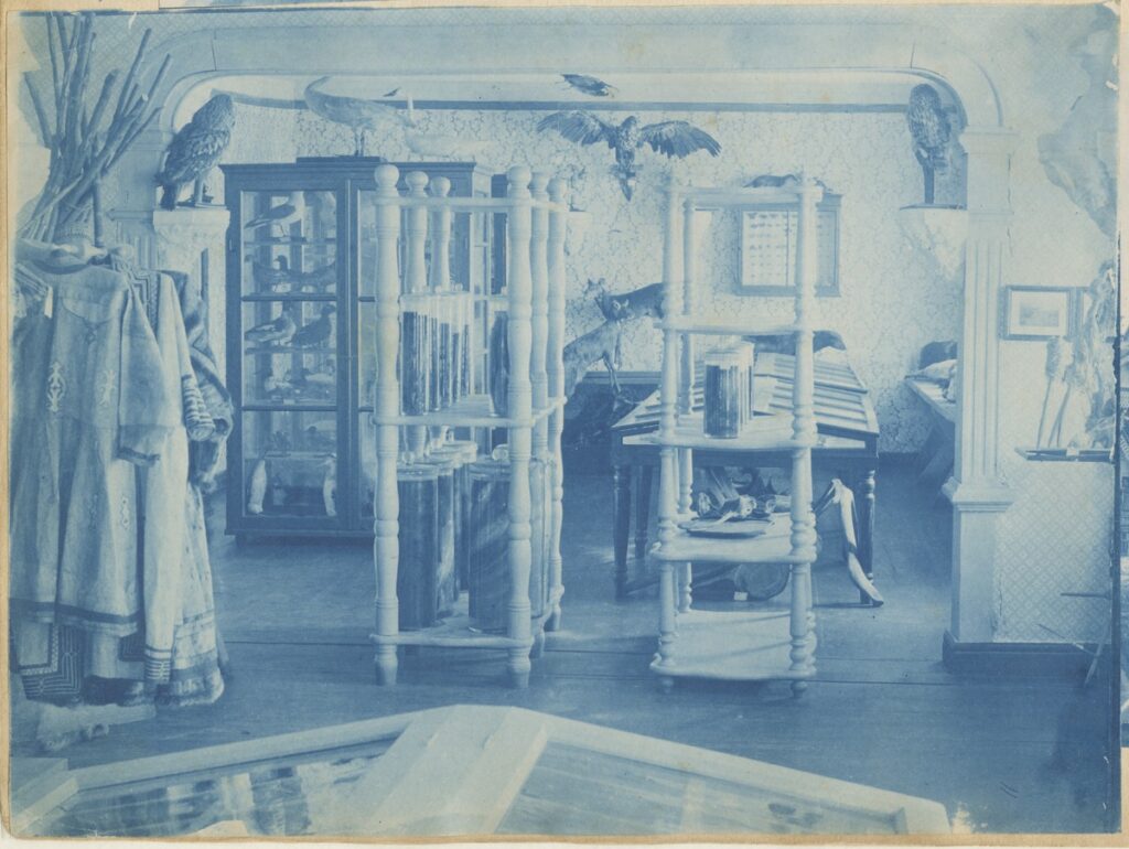 Sachalińskie Okręgowe Muzeum Krajoznawcze
w Aleksandrowsku Sachalińskim, 1896 r., cyjanotyp