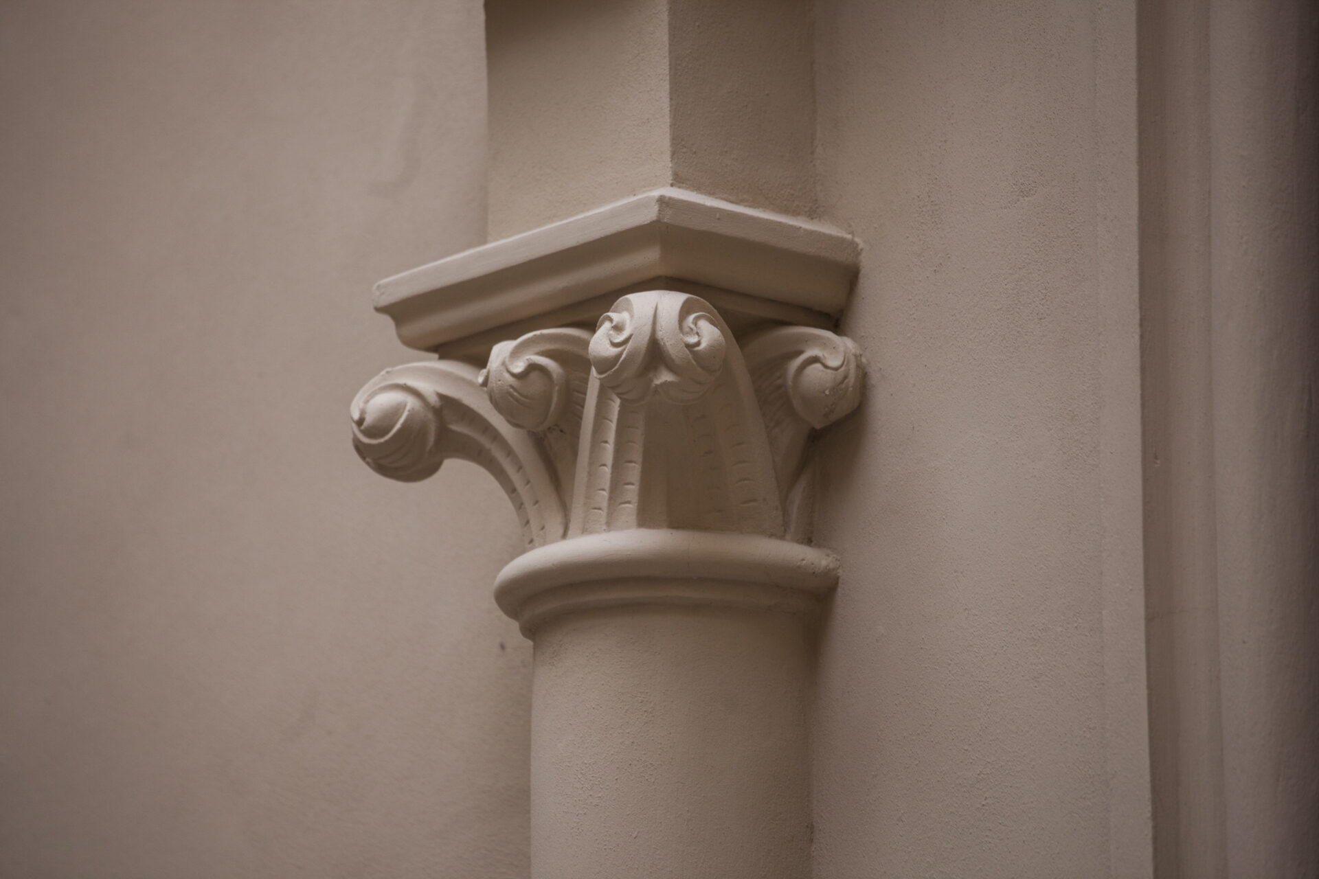 Kamienice wiecznie żywe