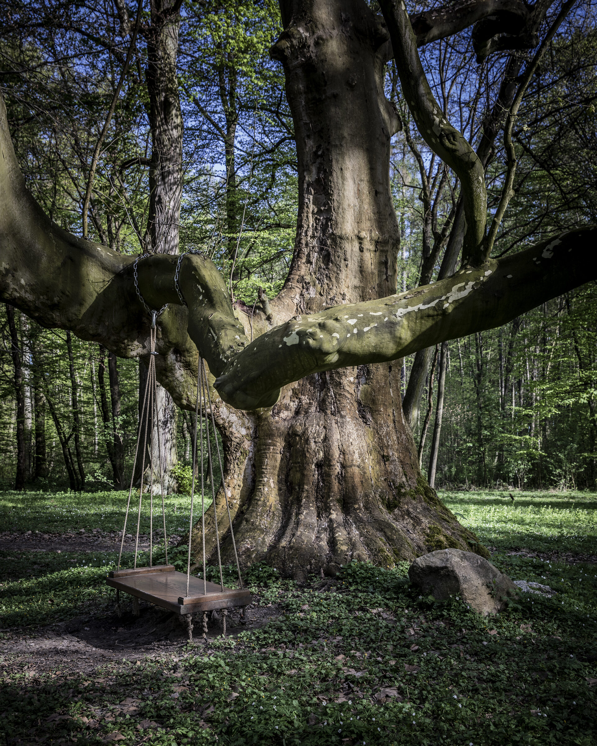Część angielska ogrodu ze stawem. Mała Wieś, 2024 r.