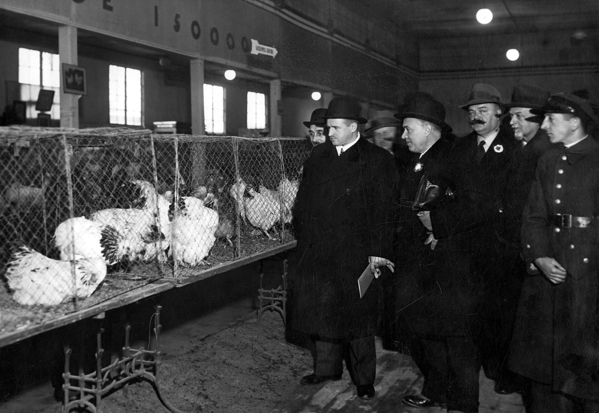 Prezydent schodzi z pomnika