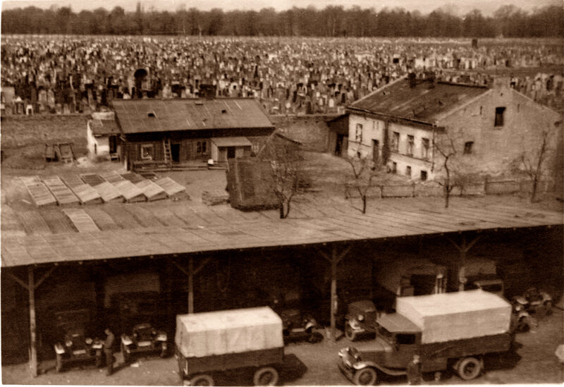 Dusze splecione węzłem życia