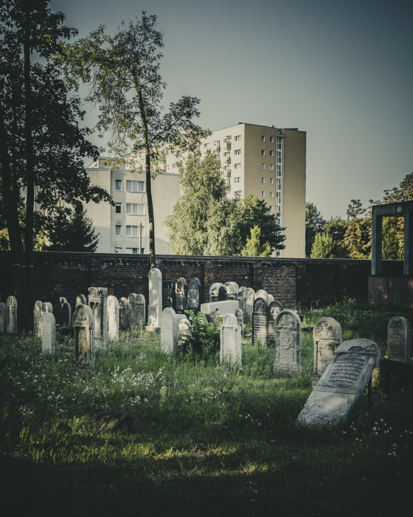 Poddane konserwacji w latach 2023–2024 nagrobki z pocz. XIX w. w kwaterze 1 (najstarszej męskiej kwaterze na cmentarzu). Gdy nie wiadomo, gdzie stał nagrobek, według przepisów religijnych nie można go ustawić
w sposób sugerujący jego prawidłowe posadowienie. Cmentarz żydowski przy ul. Okopowej. Warszawa, 2025 r.