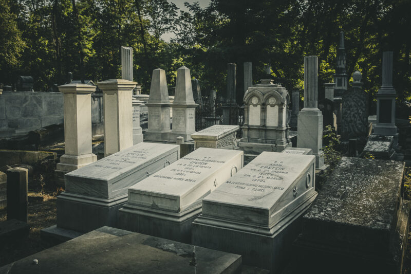 Cmentarz żydowski przy ul. Okopowej. Warszawa, 2025 r. Dusze splecione węzłem życia