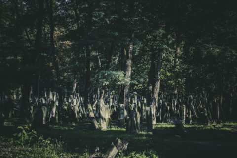 Widok na kwaterę 25. Cmentarz żydowski przy ul. Okopowej. Warszawa, 2025 r.