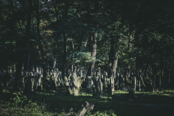 Widok na kwaterę 25. Cmentarz żydowski przy ul. Okopowej. Warszawa, 2025 r.