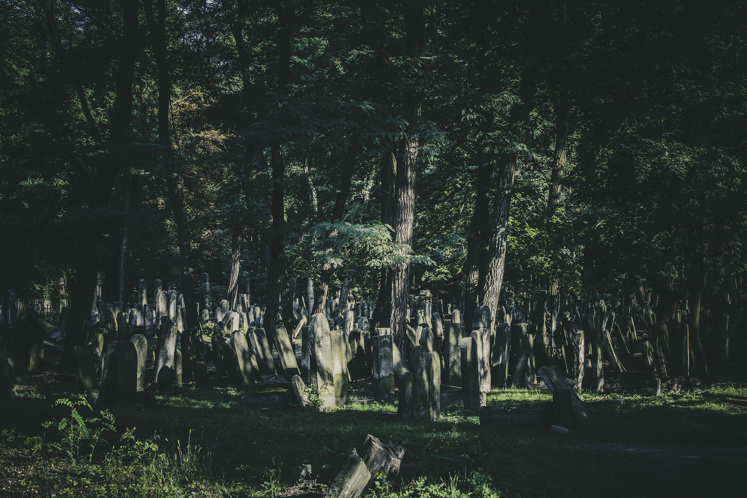 Dusze splecione węzłem życia