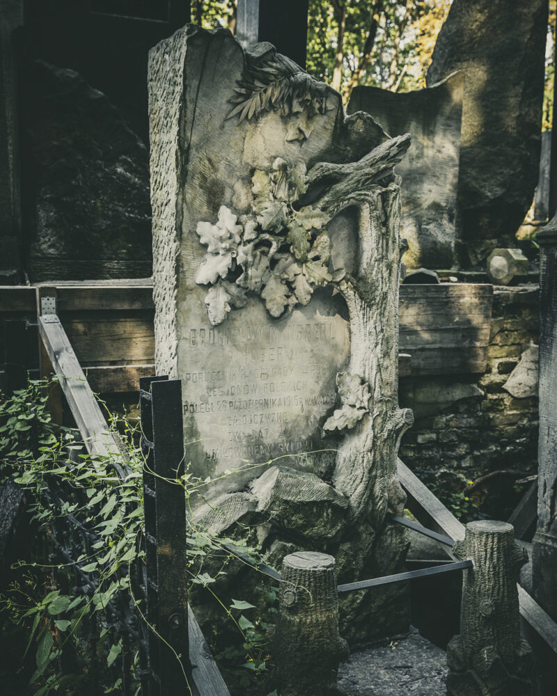 Dusze splecione węzłem życia