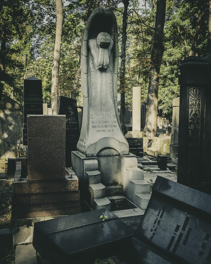 Dusze splecione węzłem życia