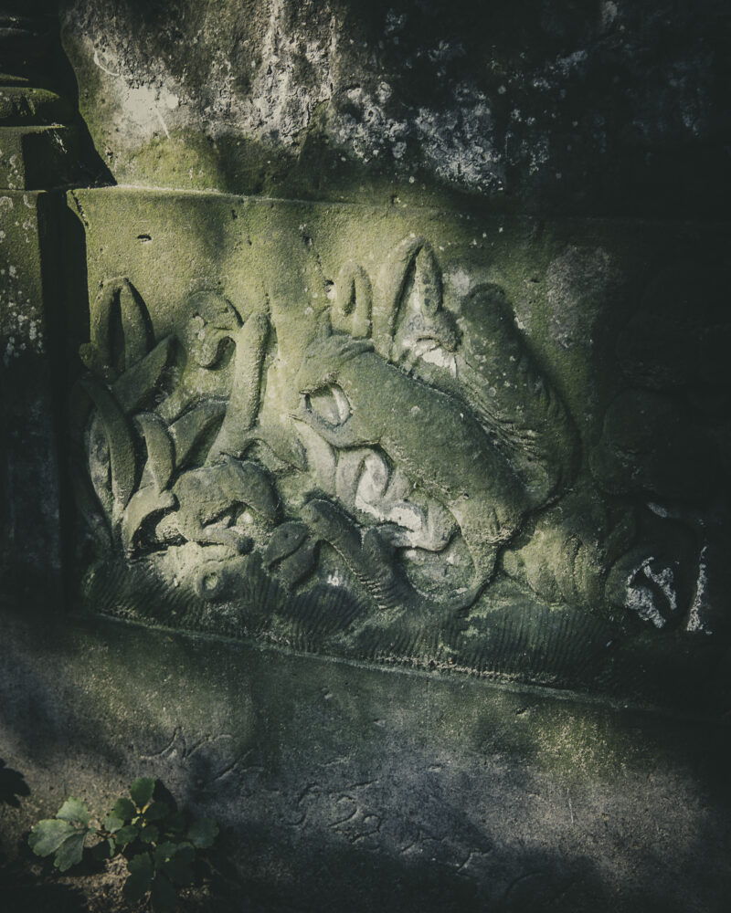 Cmentarz żydowski przy ul. Okopowej. Warszawa, 2025 r. Być może gryząca orzech wiewiórka w kwaterze 13 jest symbolem trudności w studiowaniu Talmudu. Cmentarz żydowski przy ul. Okopowej. Warszawa, 2025 r.