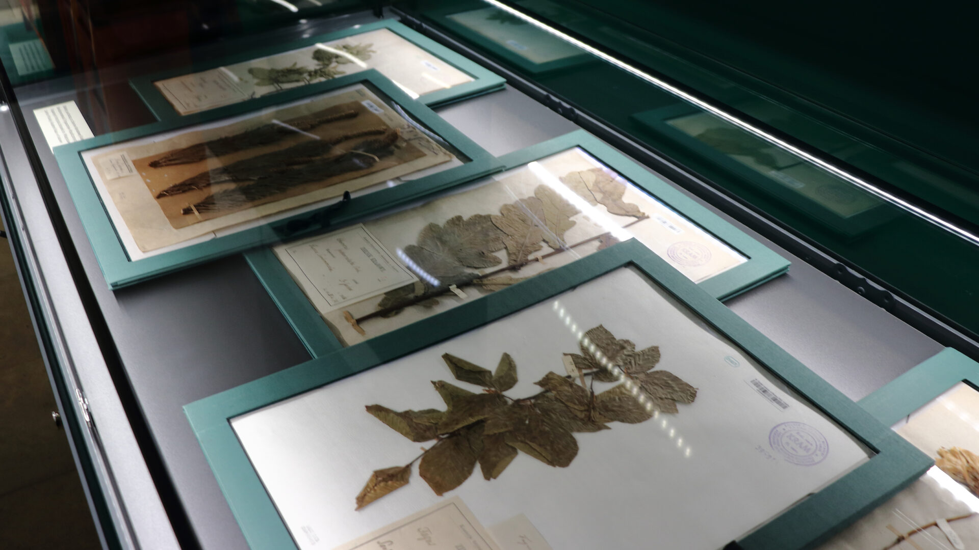 Mityczne polskie meble