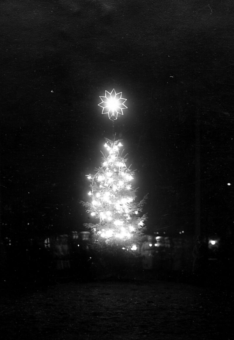 Choinka świadomie ubrana