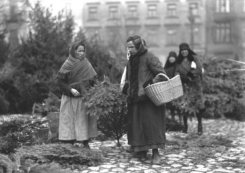 Choinka świadomie ubrana