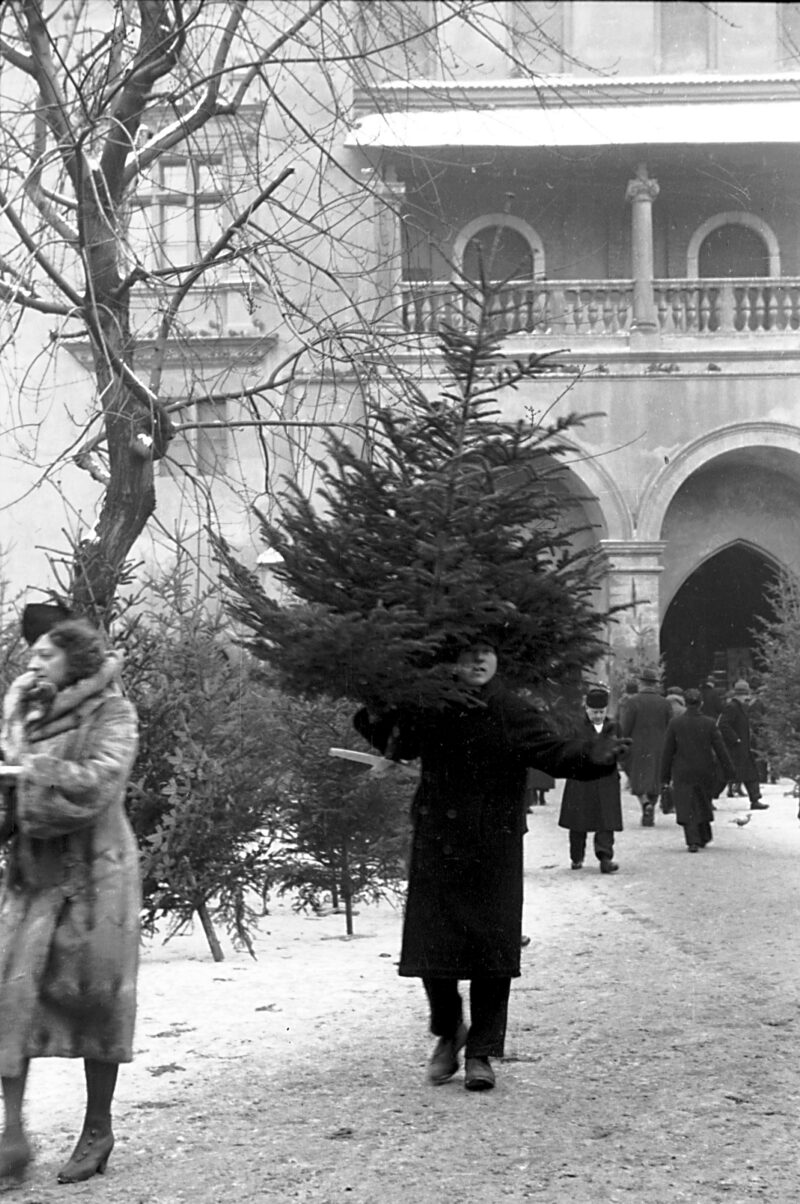 Choinka świadomie ubrana