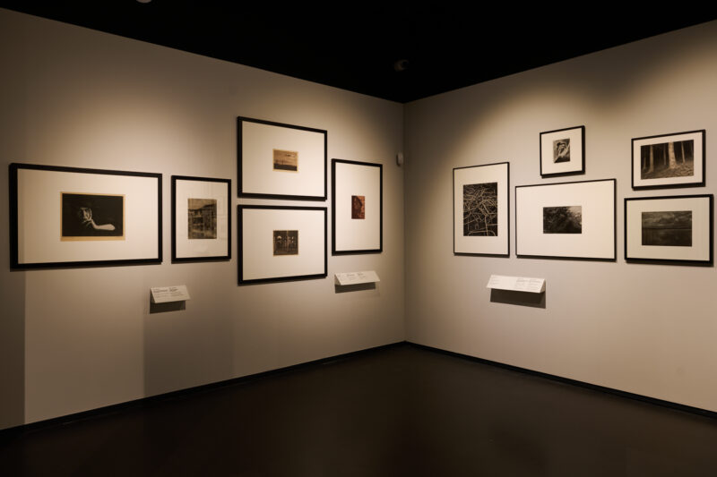 Wystawa &bdquo;Monochrom. Wszystkie kolory tęczy&ldquo; w MuFo