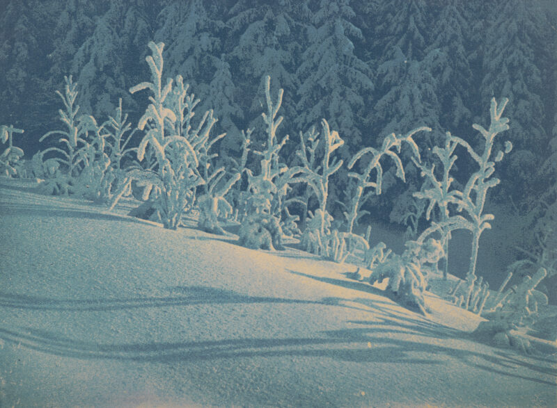 Witold Romer, cienie na śniegu, 1930, ze zbior&oacute;w MuFo