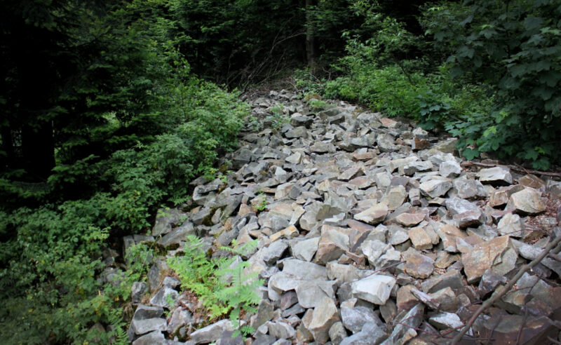 W poszukiwaniu prasłowiańskich demon&oacute;w