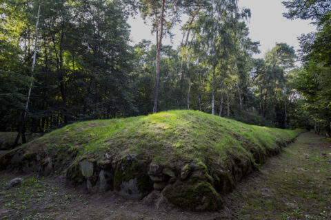 Grobowiec megalityczny datowany na 3000 do 4400 lat p.n.e. Wietrzychowice, czerwiec 2019 r.