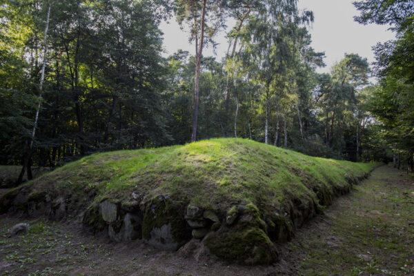 Grobowiec megalityczny datowany na 3000 do 4400 lat p.n.e. Wietrzychowice, czerwiec 2019 r.