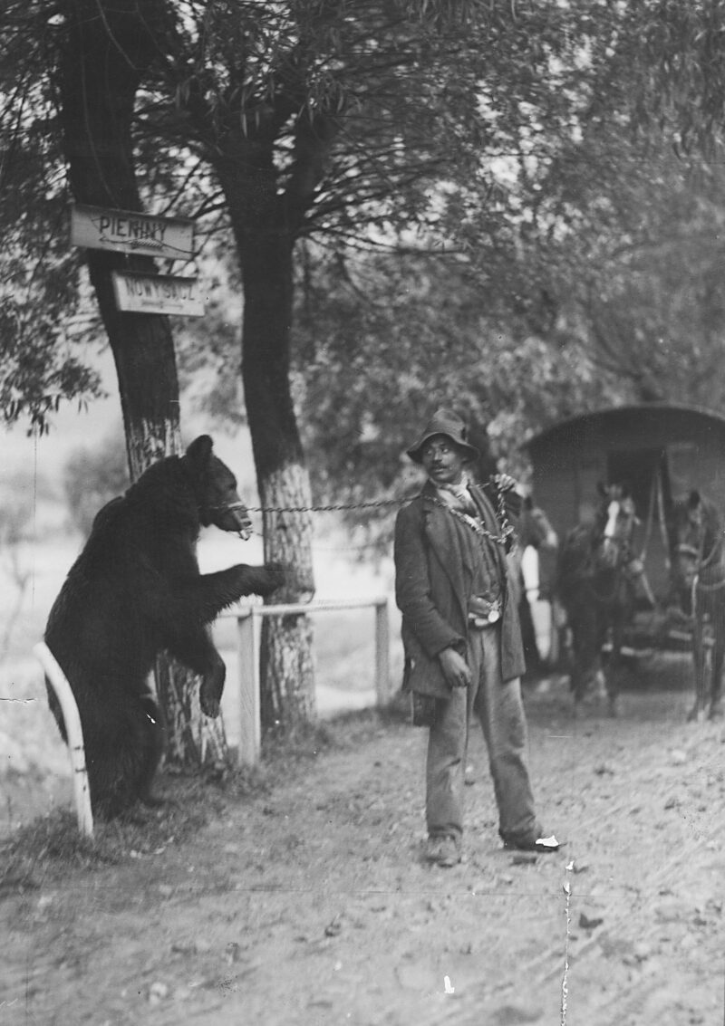PIC_1-P-2322___OBR Cygan z tresowanym niedźwiedziem, w charakterze atrakcji dla kuracjuszy. Szczawnica, między 1919 a 1930 r.