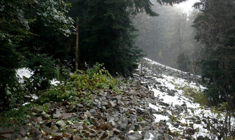 W poszukiwaniu prasłowiańskich demon&oacute;w