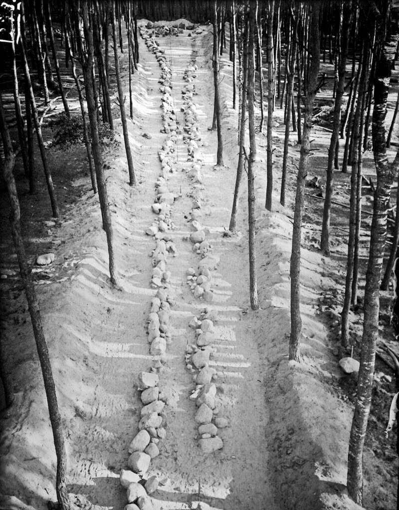 W poszukiwaniu prasłowiańskich demon&oacute;w