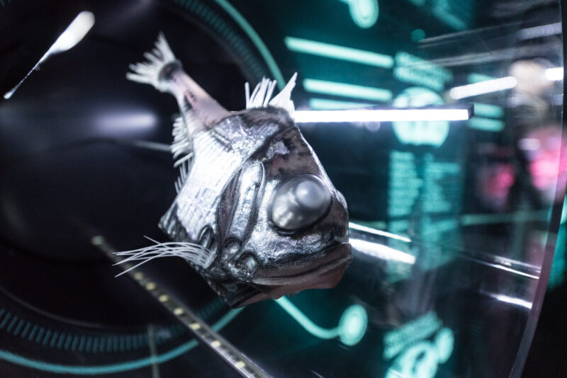 Hydropolis podczas Nocy Muze&oacute;w. Wrocław, maj 2018 r.