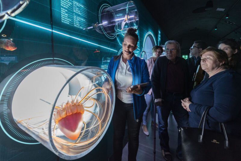 Hydropolis podczas Nocy Muze&oacute;w. Wrocław, maj 2018 r.