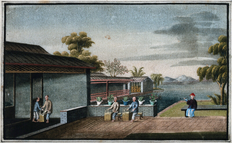 005. Pracownicy plantacji herbaty. Gwasz, Chiny, przypuszczalnie czesc kolekcji Henry’ego S. Wellcome’a, ok. 1800/1850 r.
