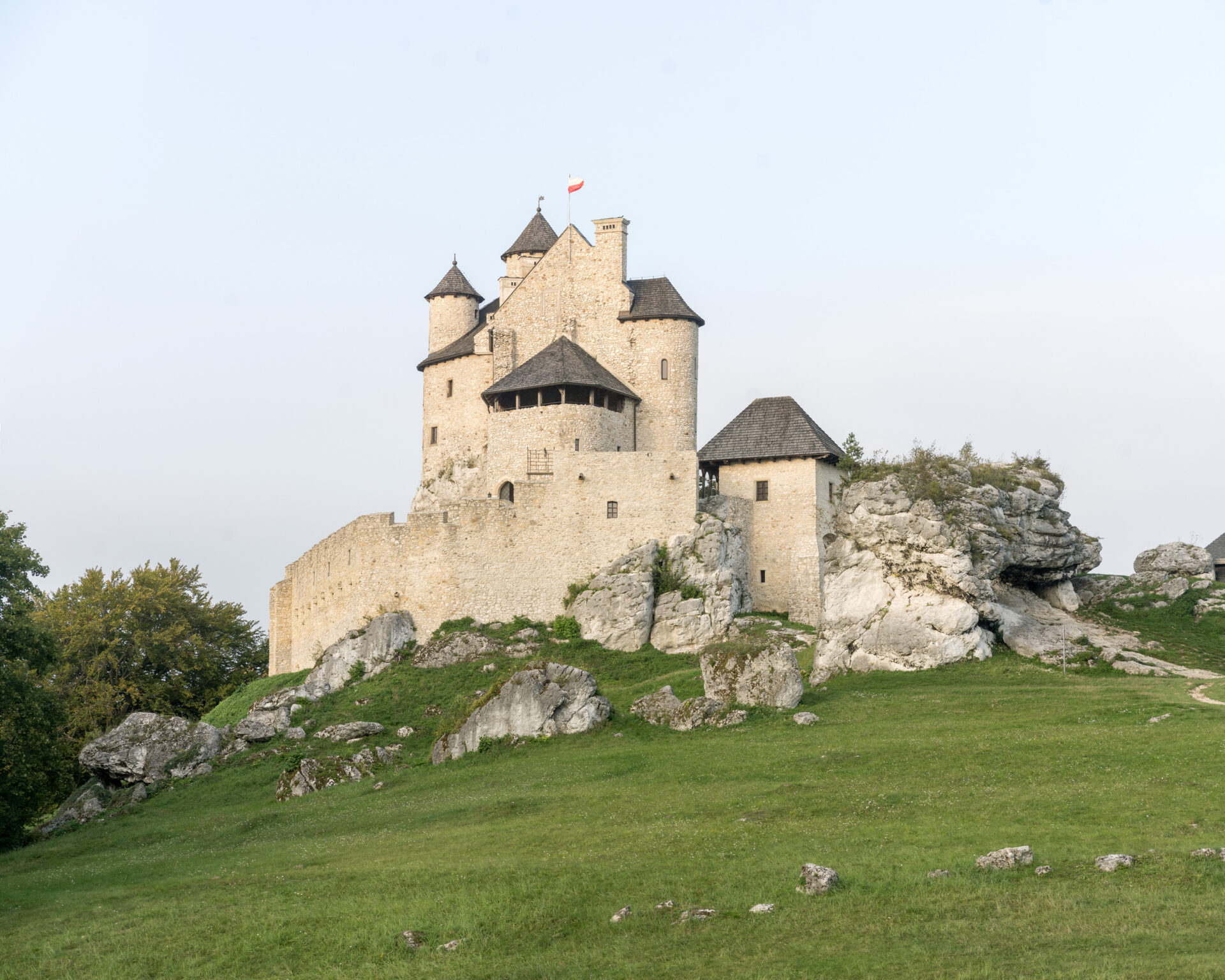 Zamkoza polska