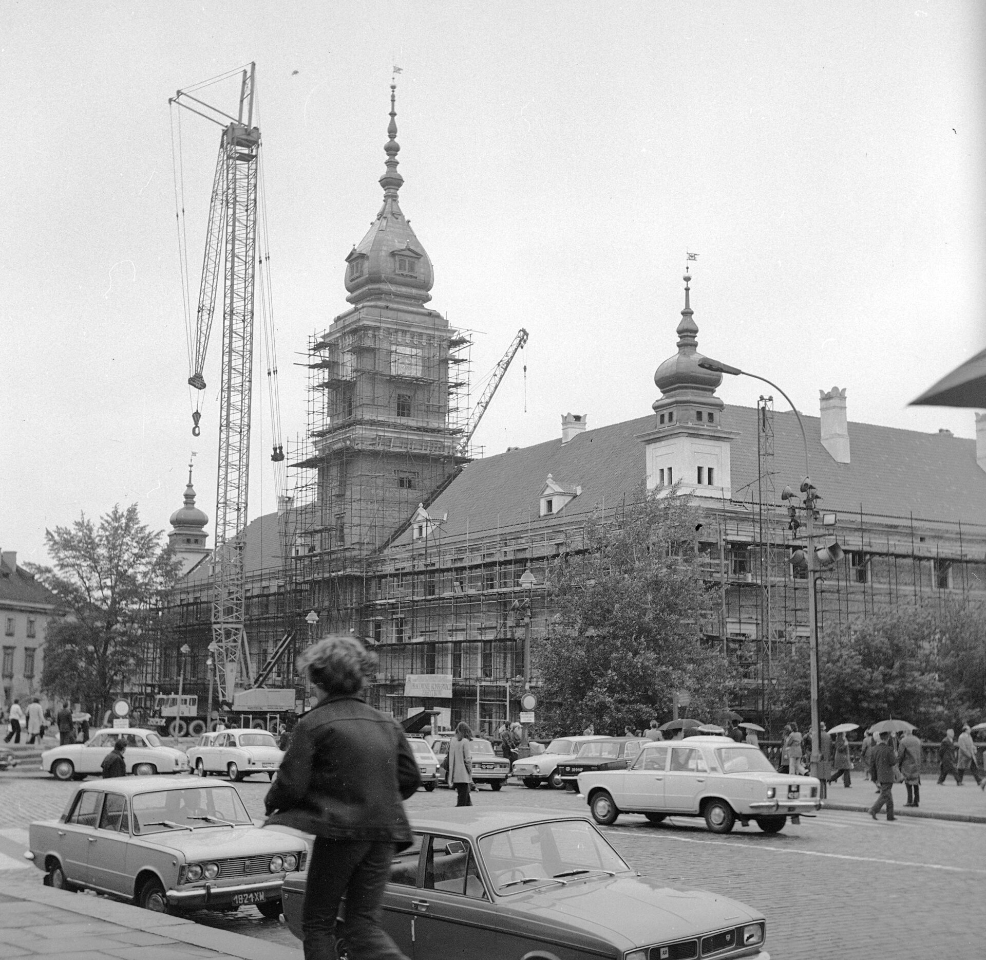 Zamkoza polska