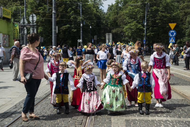 marsz autonomii Marsz Autonomii. Katowice, lipiec 2018 r.