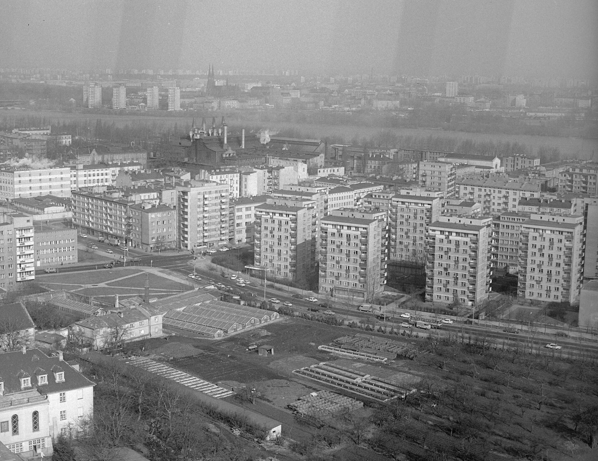Warszawska kolekcja za grosze