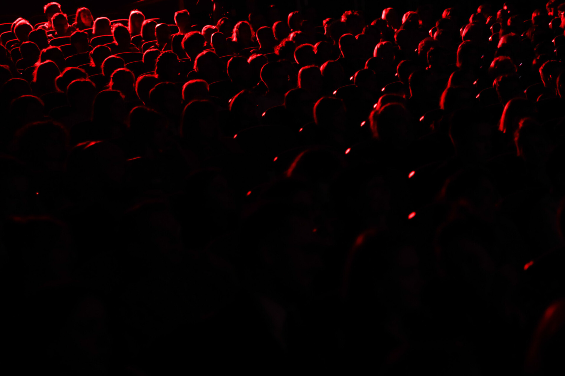 Festiwal Off Camera w Kinie Kij&oacute;w. Krak&oacute;w, kwiecień 2019 r.