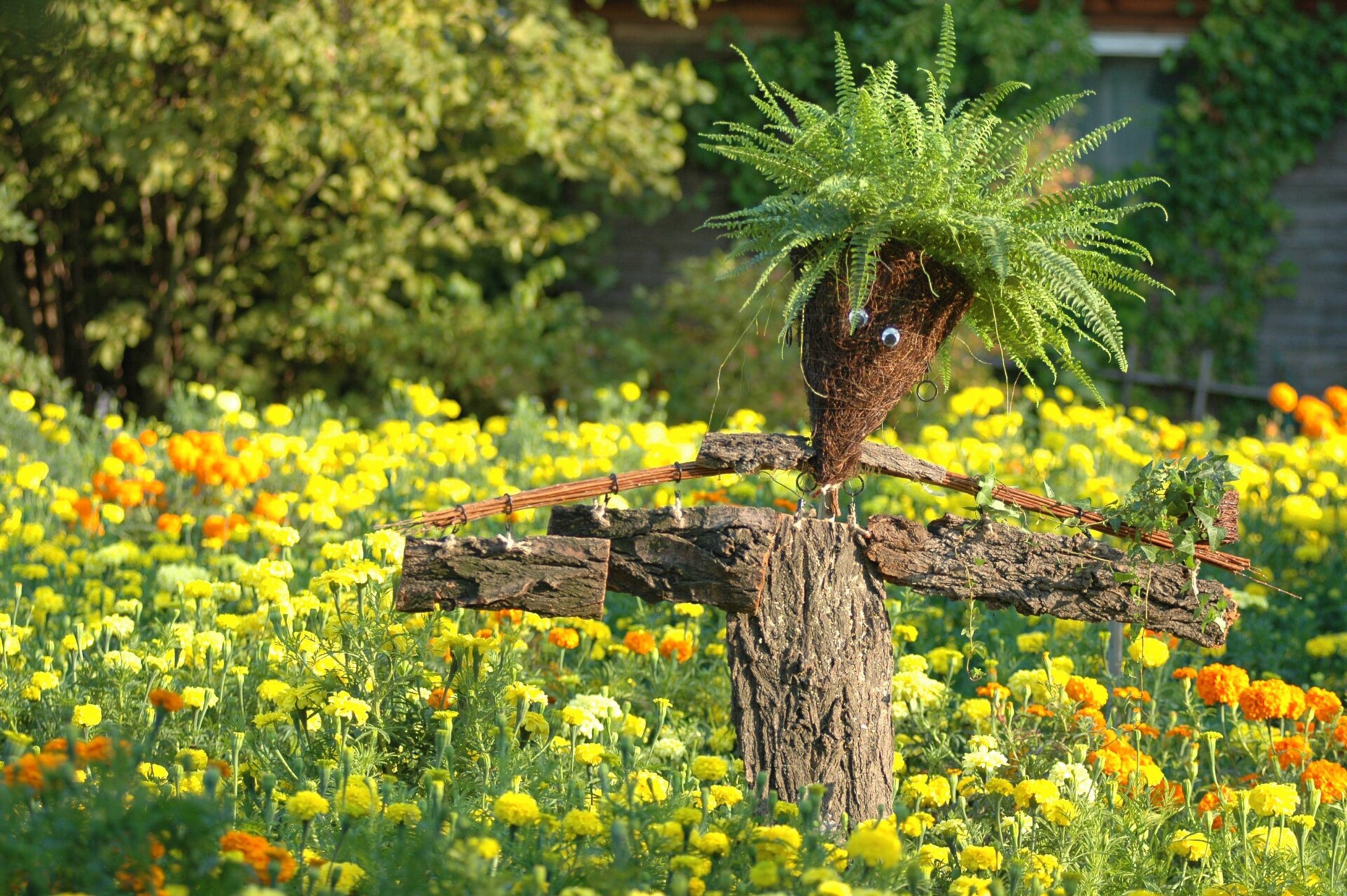 &bdquo;Strach na wr&oacute;ble&rdquo; w warszawskim Ogrodzie Botanicznym. Warszawa, 2005 r.